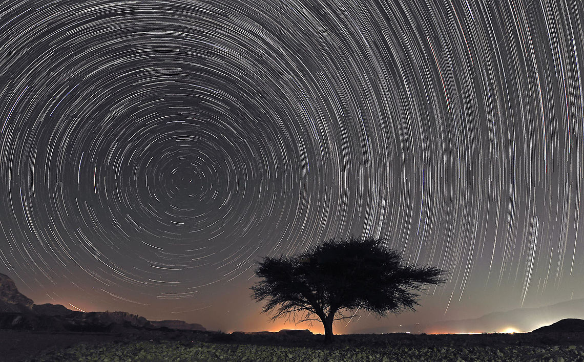 Pole Star  Acacia,Geotagged,Israel,Pole Star