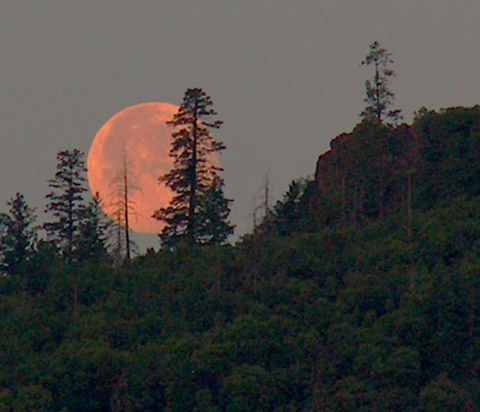 Moonrise at Darjeeling  moon