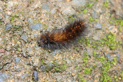 IMG_9195  Geotagged,India,Summer