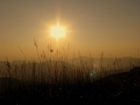 Sunrise @ OmbattuGudda Ombattugudda is a mountain range comprising of 9 Hills near Mudagere, Karnataka. It is a trekking  place in the mid of dense forest. Once we are lost in these forest then it is very difficult to get out, So this can be regarded as a dangerous trekking spot. It is always advised to take permission from Forest authorities and accompany a guide.  Geotagged,India