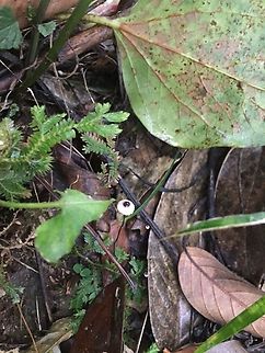 WhatsApp_Image_2023-05-01_at_6.01_.27_PM_