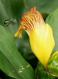 Final approach  Geotagged,Spring,Venezuela