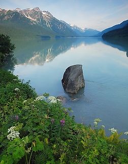 Lacey Lakeside, Cow Parsnip Heracleum maximum Cow Parsnip is sometimes mistaken for Queen Anne's Lace( daucus carota),  a possible identity for this white, lakeside, lacey flowered plant.








  Photo made at Chilkoot Lake, north of Haines, AK Cow Parsnip,Heracleum maximum,lacey flowered plant
