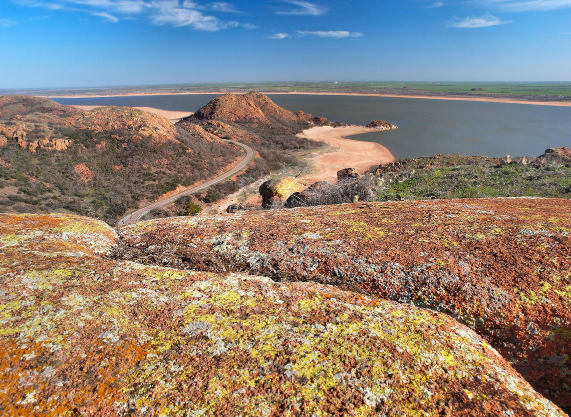 Curves and gold cobblestone  lichen Acarospora contigua, the only known yellow lichen, is commonly found on granite in Wichita Mtns, Oklahoma. Acarospora contigua
