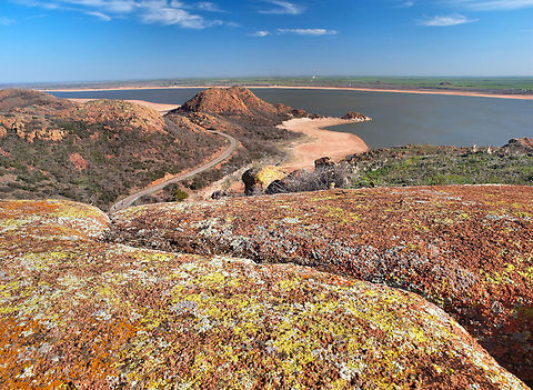 Curves and gold cobblestone  lichen Acarospora contigua, the only known yellow lichen, is commonly found on granite in Wichita Mtns, Oklahoma. Acarospora contigua