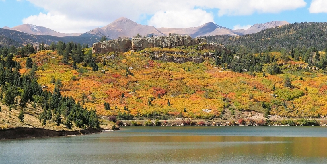 Scrub Oak: Gambel Oak Colorful scrub oak, Oct. 2023, on slopes above North Lake.  Viewed along Highway of Legends, route 12, a highway in southern Colorado.  Portion of Dakota Wall with peaks of Culebra Range in background. Gambel oak,Quercus gambelii