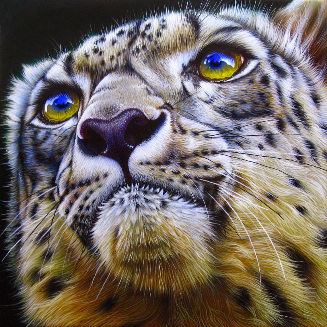 Baby Snow Leopard painting 12 x 12, inks on wood board, 2011 Asia,Big Cats,Leopard,Snow Leopard,Snow leopard,Uncia uncia,art