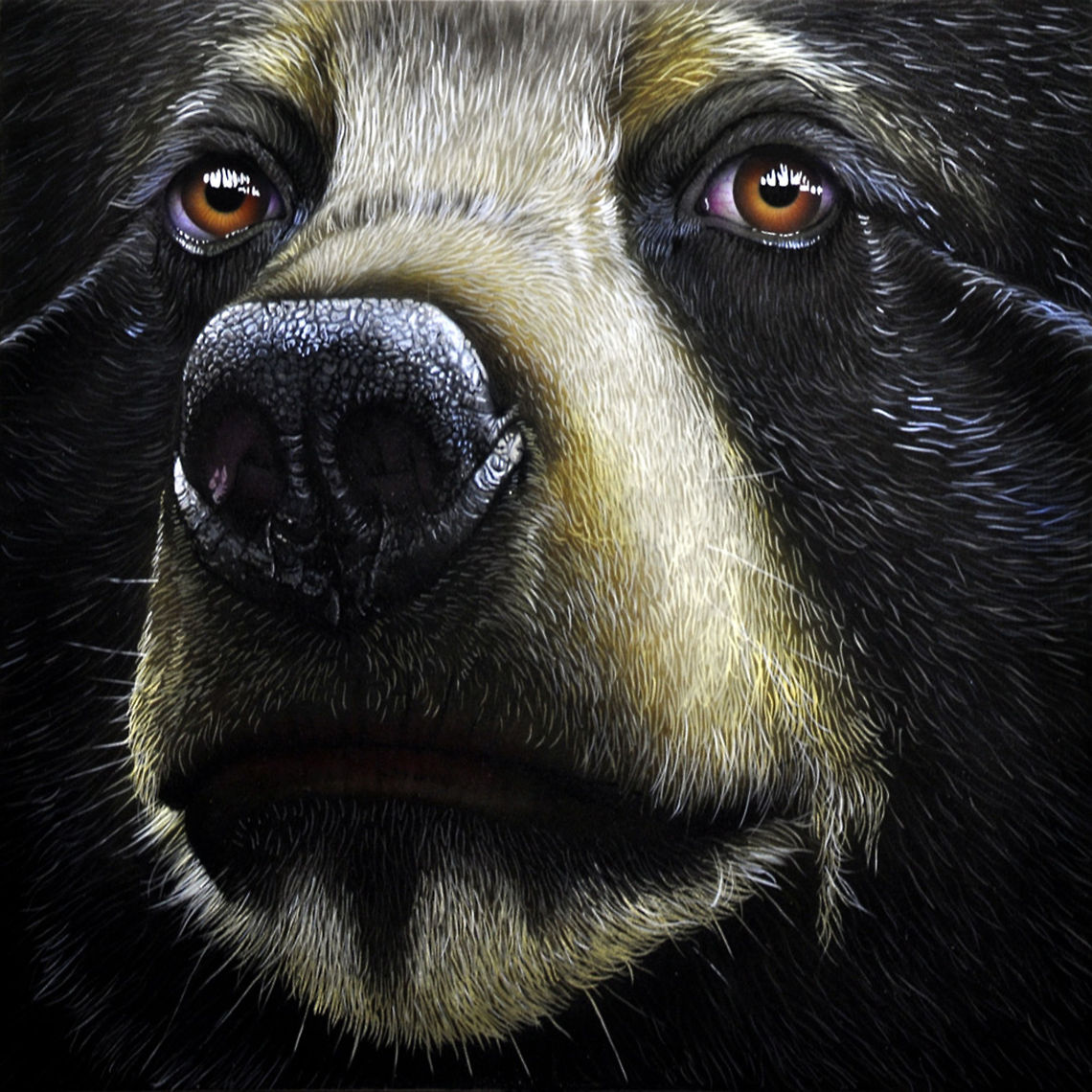 Bear Small painting 12 x 12, inks on wood board, 2011 Asian black bear,Bear,Black Bear,Ursidae,Ursus thibetanus,art
