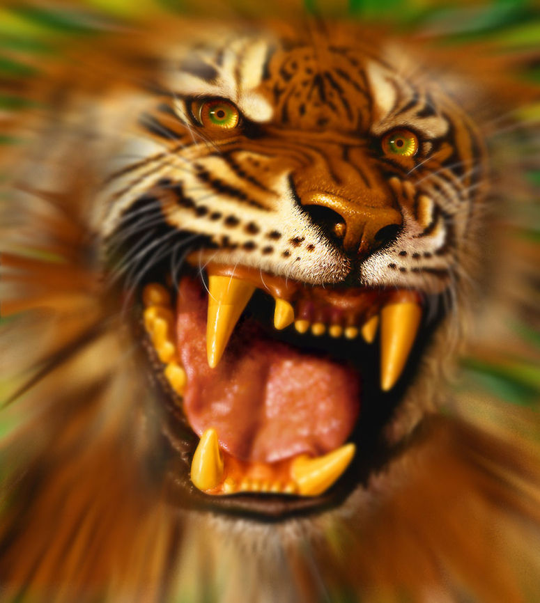 Bengals rite of way digital painting Asia,Bengal Tiger,Big Cats,Panthera tigris tigris,Tiger,art