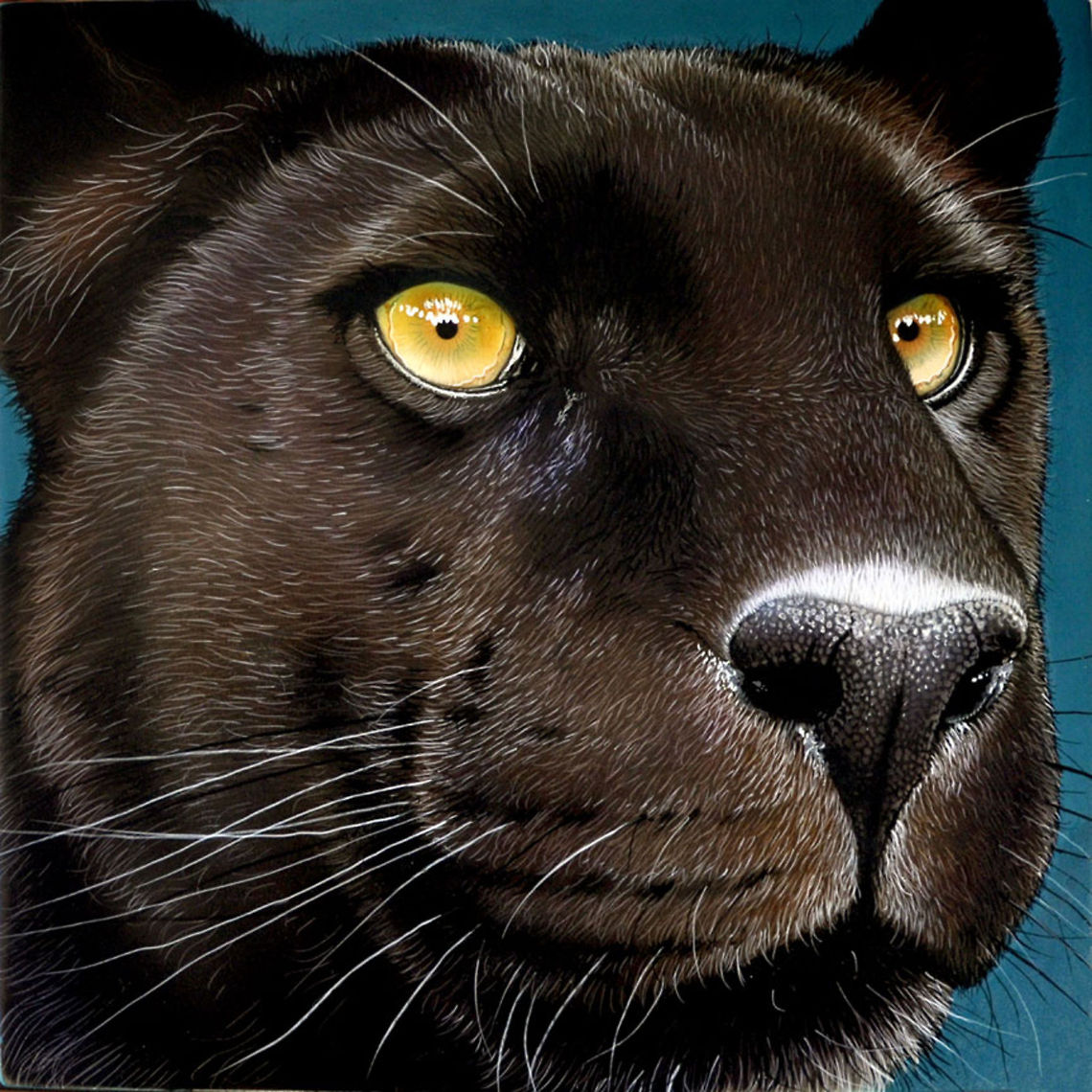 Black Panther painting 12 x 12, inks on wood board, 2010 Big Cats,Black Panther,Panther,South America,art