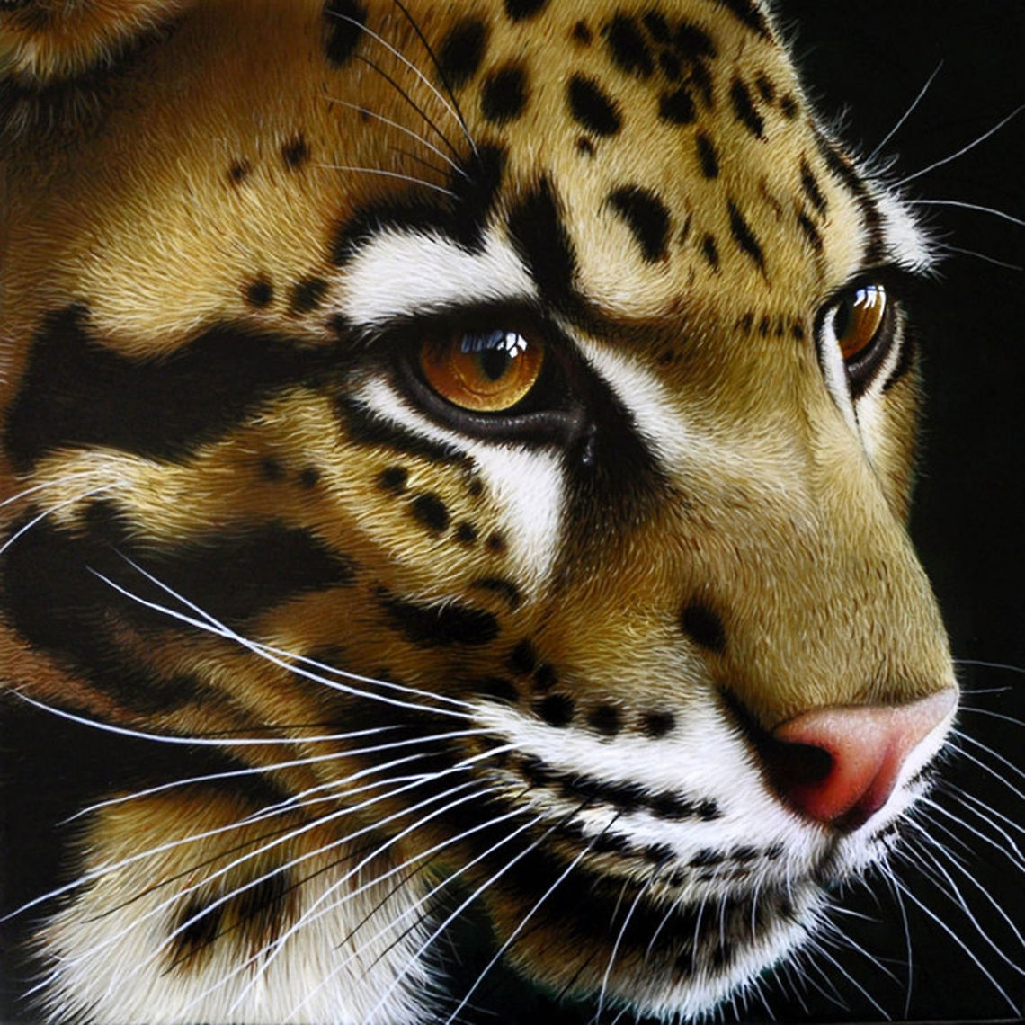 Clouded Leopard painting 12 x 12, inks on wood board, 2010 Asia,Big Cats,Clouded leopard,Leopard,Neofelis nebulosa,art