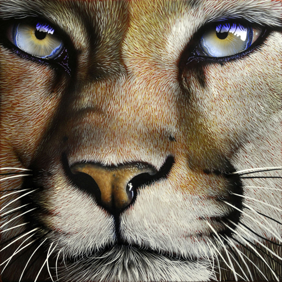 Cougar painting 12 x 12, inks on wood board, 2011 Big Cats,Cougar,Puma concolor,United States,art