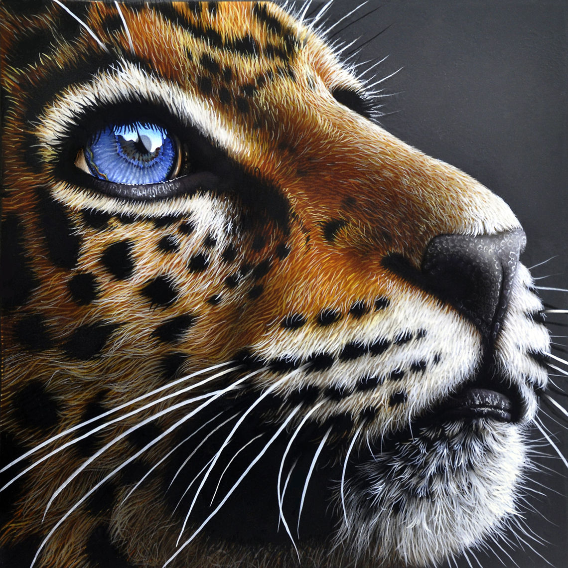 Jaguar Cub painting 12 x 12, inks on wood board, 2010 Baby,Big Cats,Jaguar,South America,art