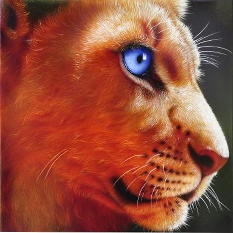 Lion Cub painting 12 x 12, inks on wood board, 2010 Africa,Big Cats,Mammalia,art,lion