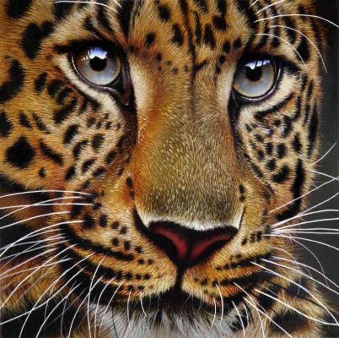 Leopard painting 12 x 12, inks on wood board, 2010 Africa,Big Cats,Leopard,Mammalia,Panthera pardus,art