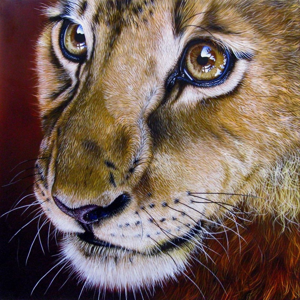 Lion Young painting 12 x 12, inks on wood board, 2011 Africa,Baby,Big Cats,art,lion