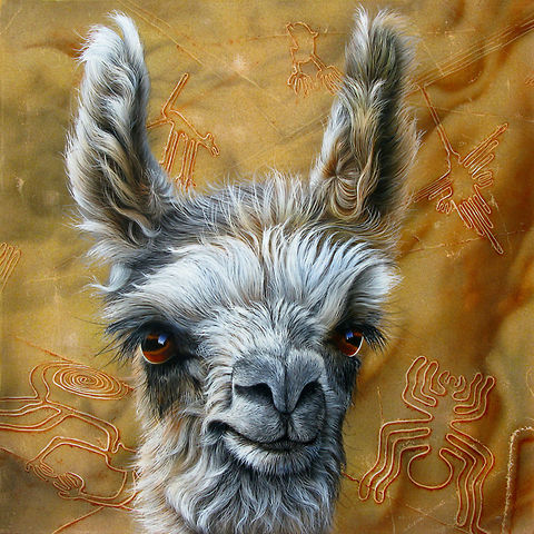 Llama painting 24 x 24, Inks on canvas, 2008 Lama glama,Llama,South America,art