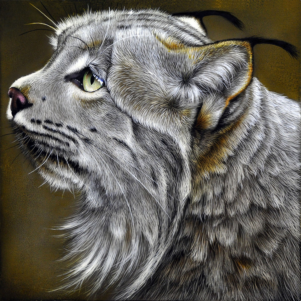 Lynx painting 12 x 12, Inks on wood board, 2010 Big Cats,Canada lynx,Eurasian Lynx,Lynx,Lynx canadensis,Lynx lynx,art