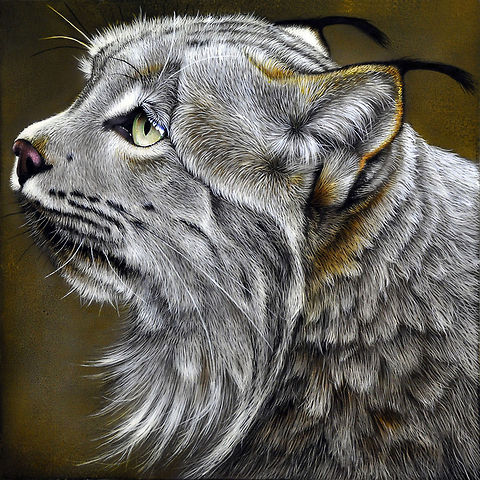 Lynx painting 12 x 12, Inks on wood board, 2010 Big Cats,Canada lynx,Eurasian Lynx,Lynx,Lynx canadensis,Lynx lynx,art