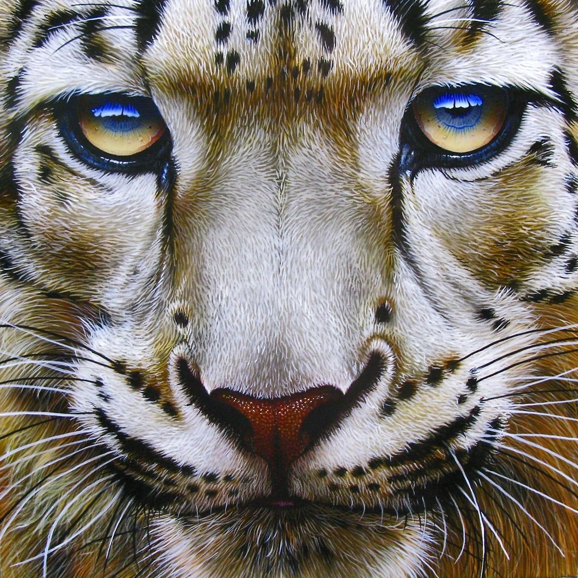 Snow Leopard Front painting 12 x 12, Inks on wood board, 2011 Big Cats,Leopard,Snow Leopard,Snow leopard,Uncia uncia,art