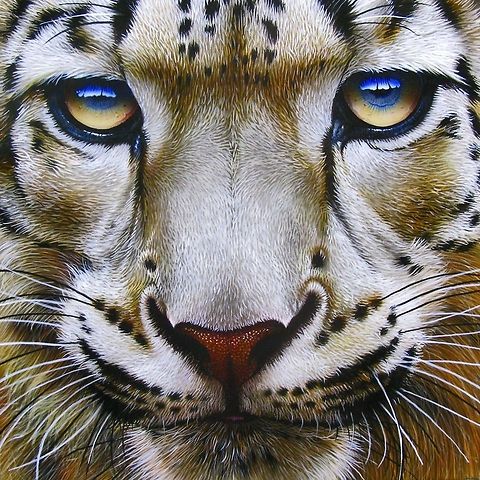 Snow Leopard Front painting 12 x 12, Inks on wood board, 2011 Big Cats,Leopard,Snow Leopard,Snow leopard,Uncia uncia,art