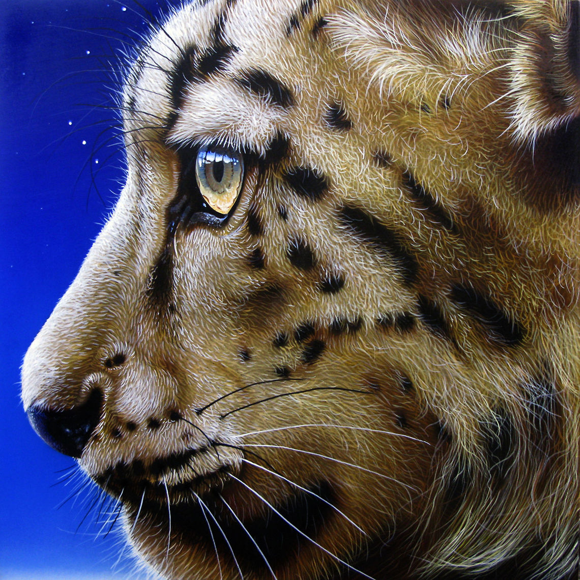 Snow Leopard Profile painting 12 x 12, Inks on wood board, 2011 Big Cats,Leopard,Snow Leopard,Snow leopard,Uncia uncia,art