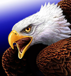 Eagle painting digital painting Accipitriformes,Bald Eagle,Birds,Eagle,Haliaeetus leucocephalus