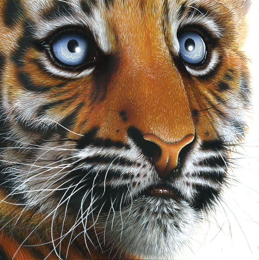 Tiger Cub painting 12 x 12, Inks on wood board, 2011 Big Cats,Mammalia,Panthera tigris,Tiger,art