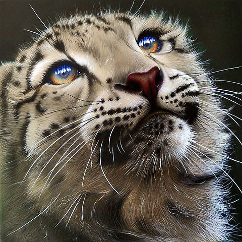 Snow Leopard Cub painting 12 x 12, Inks on wood board, 2010 Big Cats,Leopard,Snow Leopard,Snow leopard,Uncia uncia,art