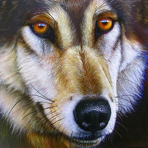 Wolf painting 12 x 12, Inks on wood board, 2011 Wolf,art