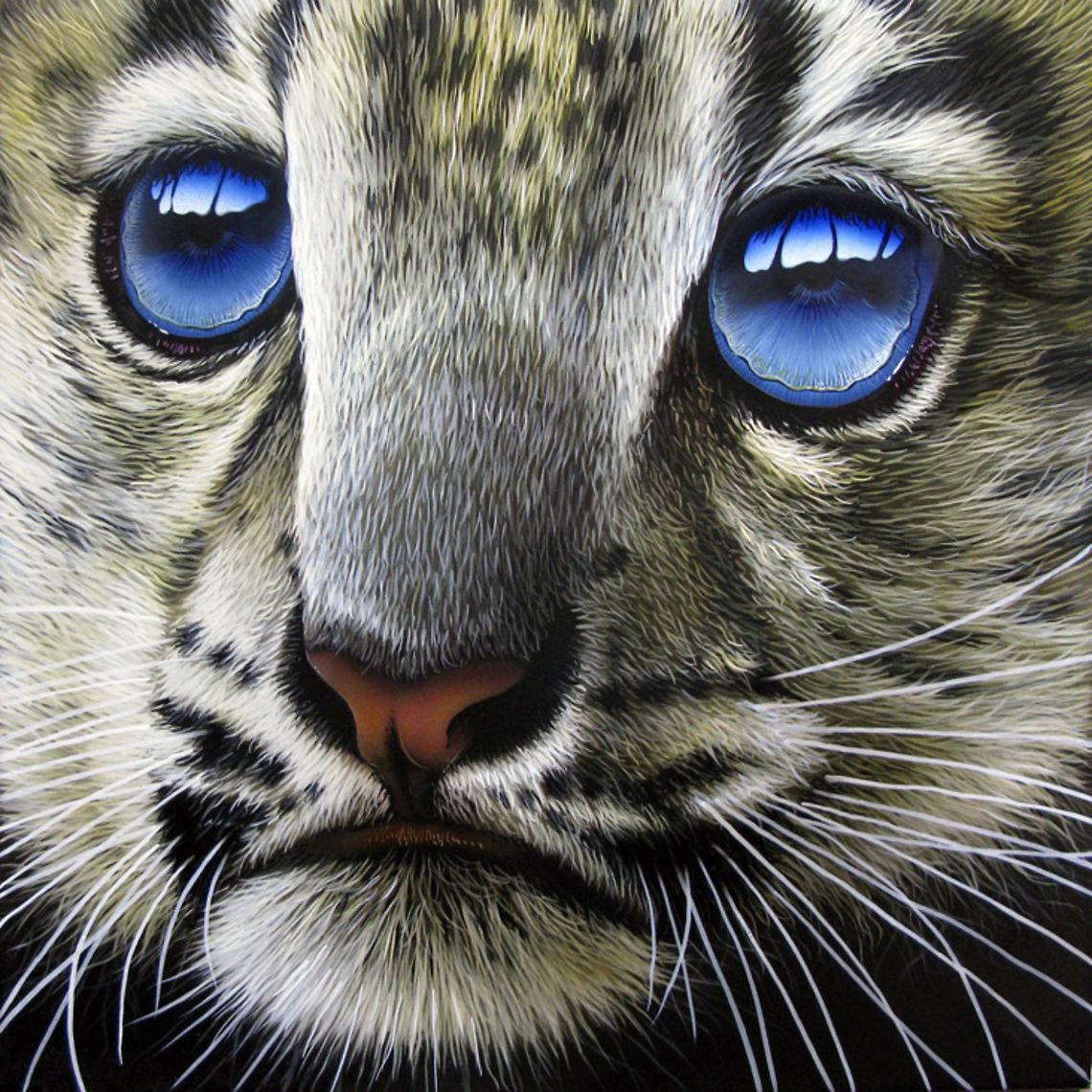 Snow Leopard Baby painting 12 x 12 , Inks on wood board, 2011<br />
<br />
<br />
 Big Cats,Leopard,Mammalia,Snow Leopard,Snow leopard,Uncia uncia,art