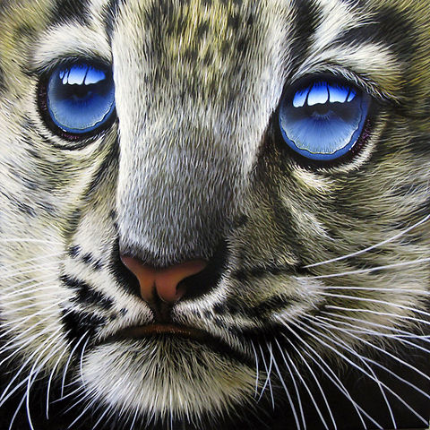 Snow Leopard Baby painting 12 x 12 , Inks on wood board, 2011


 Big Cats,Leopard,Mammalia,Snow Leopard,Snow leopard,Uncia uncia,art