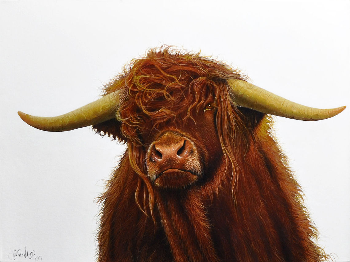 Scottish Highlander Painting 18&quot; x 24&quot; Canvas, Inks, 2007 Europe,Scottish Highlander,art,cows