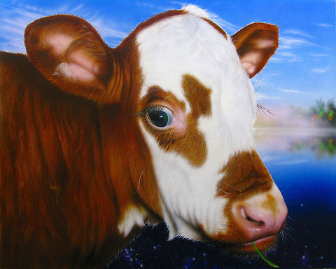 Mona the Cow 24" x 30", Inks on canvas, 2007 Art,Artiodactyla,Cows,North America