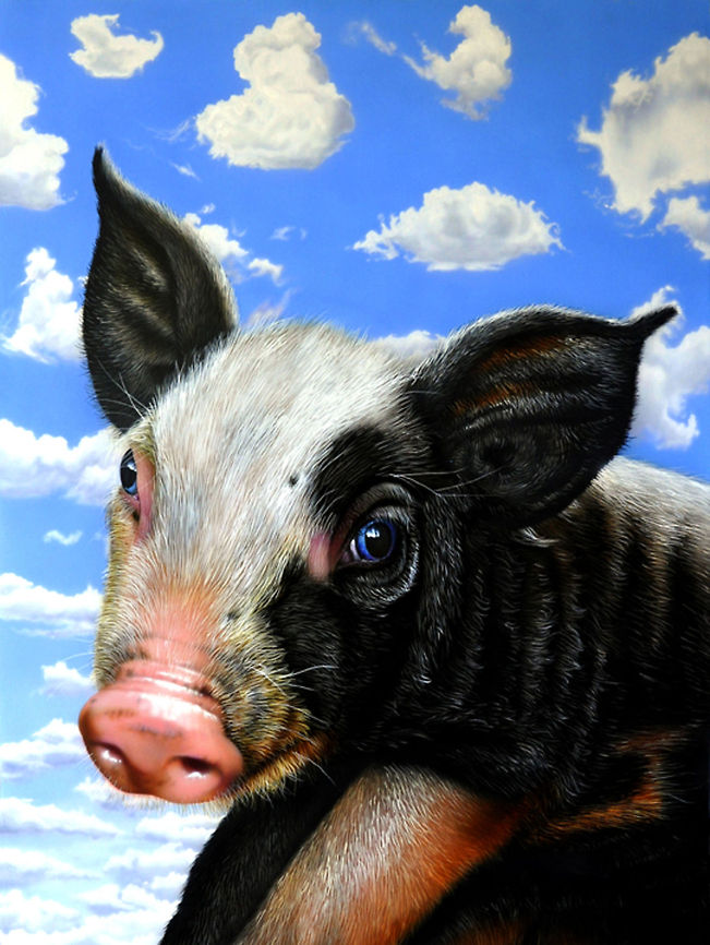 Pig in the Sky 30&quot;x 24&quot; , Inks on wood board, 2008 Domestic pig,Pigs,Sus scrofa domesticus,art