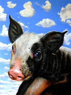 Pig in the Sky 30"x 24" , Inks on wood board, 2008 Domestic pig,Pigs,Sus scrofa domesticus,art