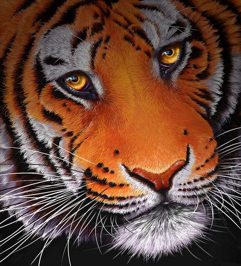Tiger Classic painting 24&#039; x 24&#039;, inks on wood board, 2003 Mammalia,Panthera tigris,Tiger,art