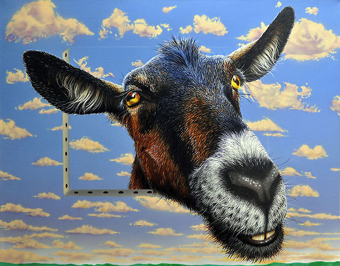 Goat a l&aacute; Magritte 22x28, Inks on Canvas, 2007 Artiodactyla,art,goat,mammals