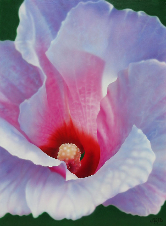 From Alicja's garden 24x30 inks on canvas Flowers,art