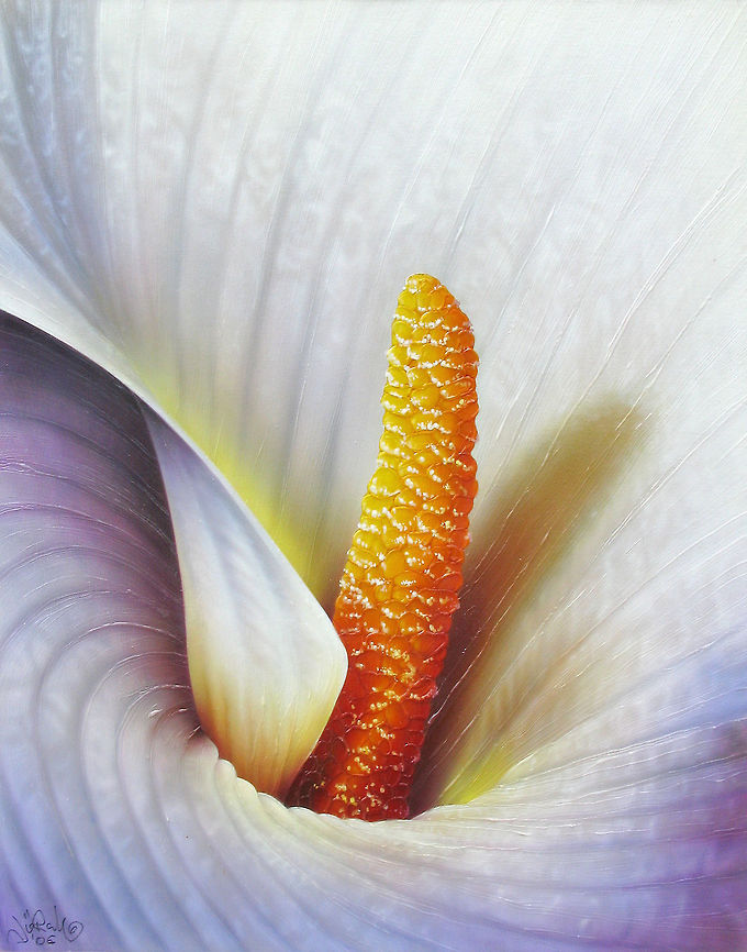 Calla Lily flower painting Calla Lily closeup painting, 24x30 inks on canvas Araceae,Flowers,Zantedeschia aethiopica