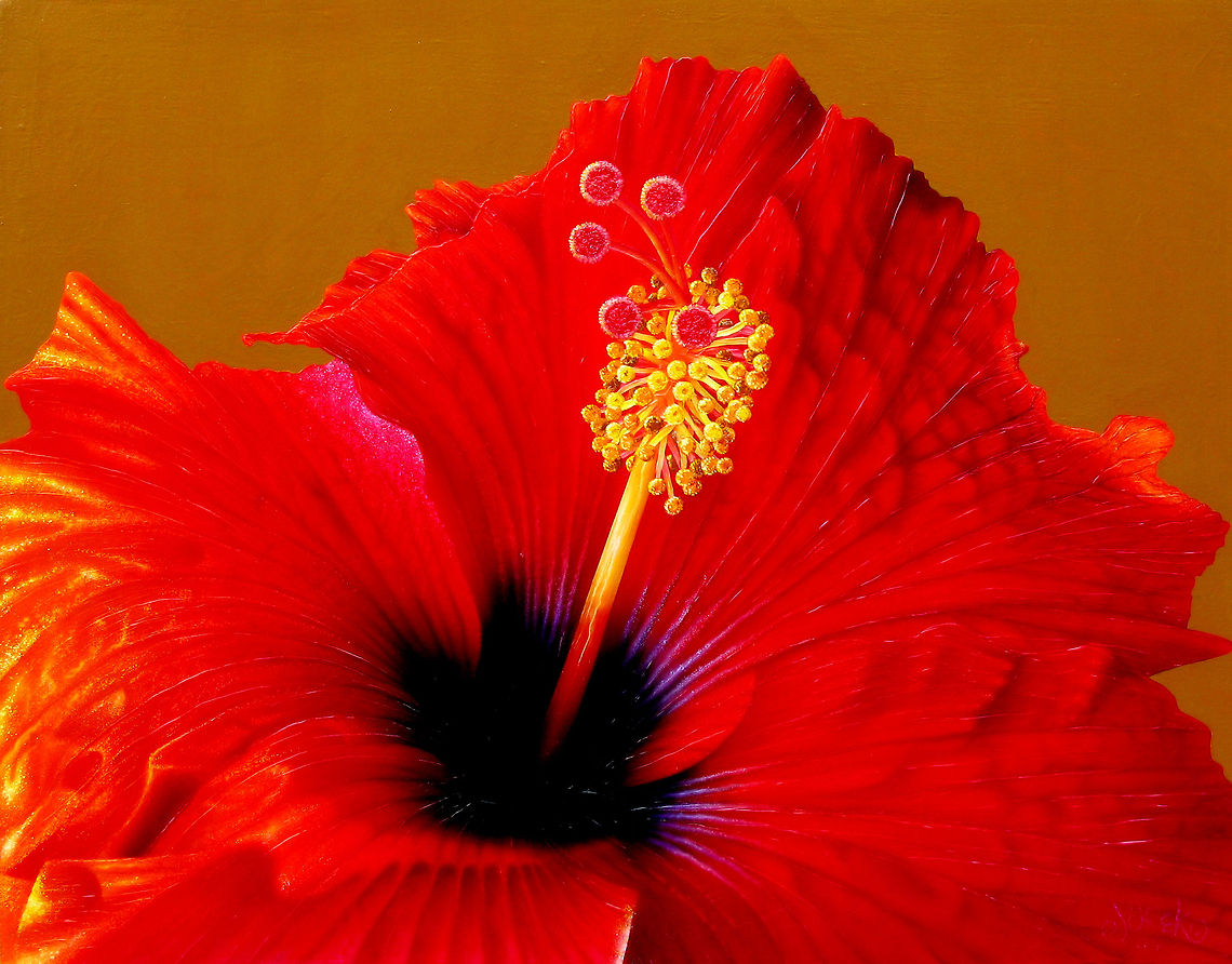 Hibiscus flower painting Deep red Hibiscus flower painting, 24x30 inks on canvas Flowers,Hibiscus rosa-sinensis,art