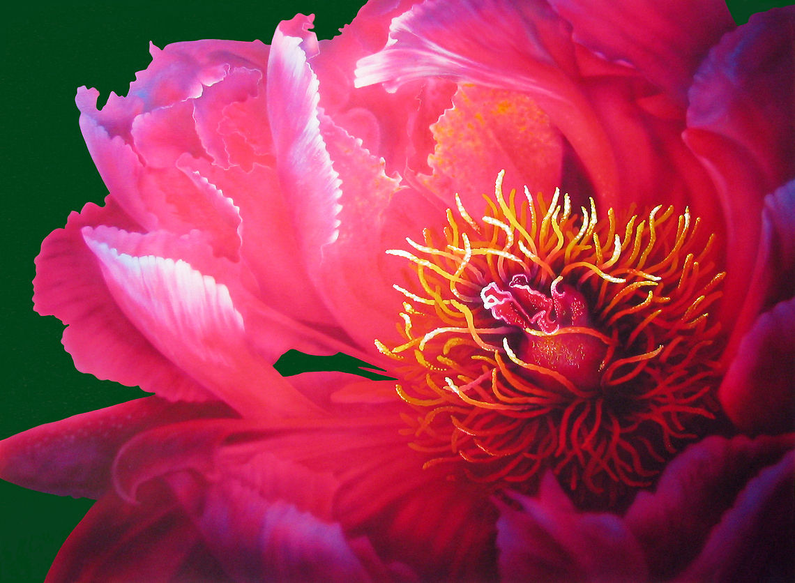 Dahlia Flower Painting Photo realistic painting of a Dahlia flower, 24x30 inks on canvas Flowers,art
