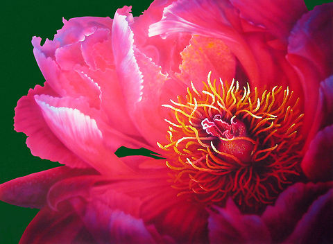 Dahlia Flower Painting Photo realistic painting of a Dahlia flower, 24x30 inks on canvas Flowers,art