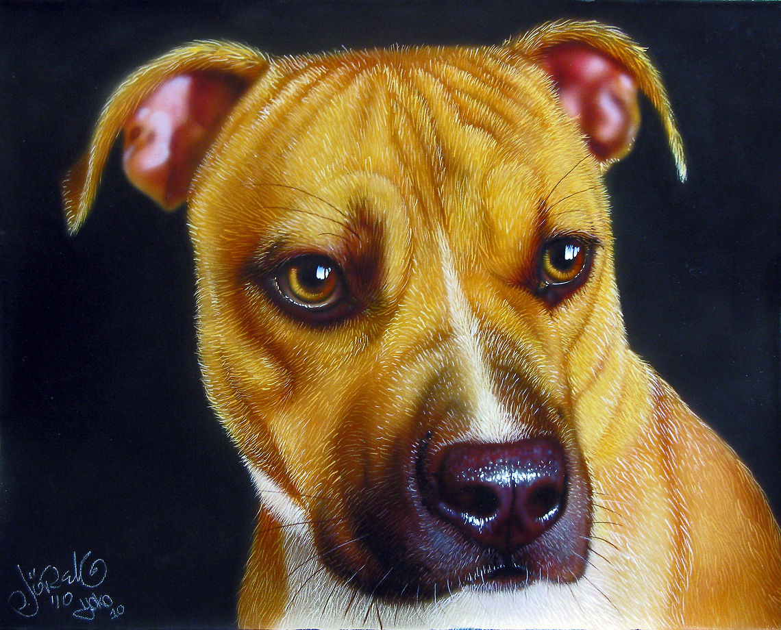 Zion dog painting Beautiful and colorful painting of a dog, 16x20 Inks on canvas, 2010.<br />
English staffordshire bull terrier. RIP. Dogs,art
