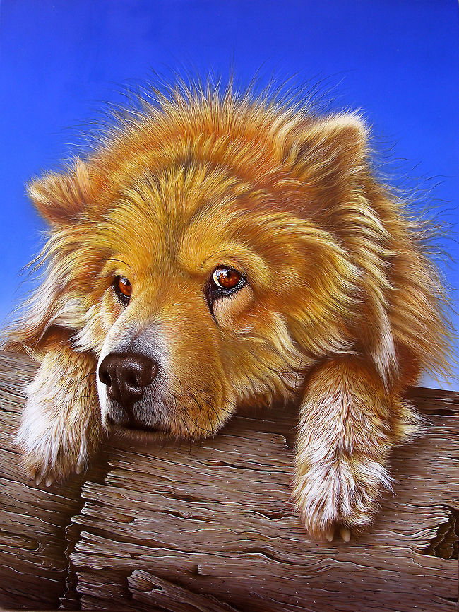 Uli the Chow-Chow dog painting A beautiful painting of a trusty dog. 24x30, Inks on wood board, 2007. <br />
Update: sadly, very sadly Uli died on January 9th, 2013. I lost my best Friend ever ! He taught me so much. RIP my Uli. Dogs,art