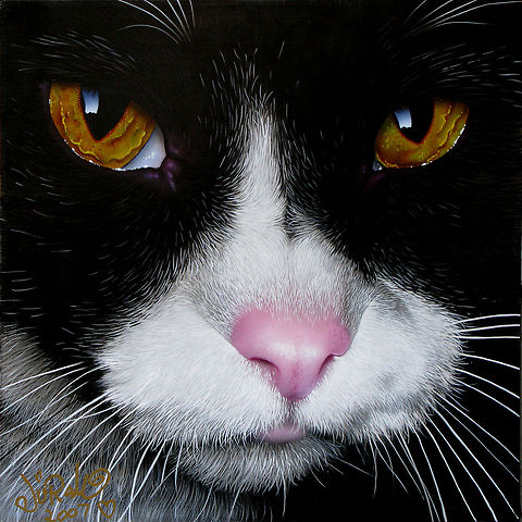 Jack cat art portrait A life-like, incredibly detailed painting of a cat, 24x24, inks on canvas, 2007
Karen's favorite cat .RIP. Cats,art