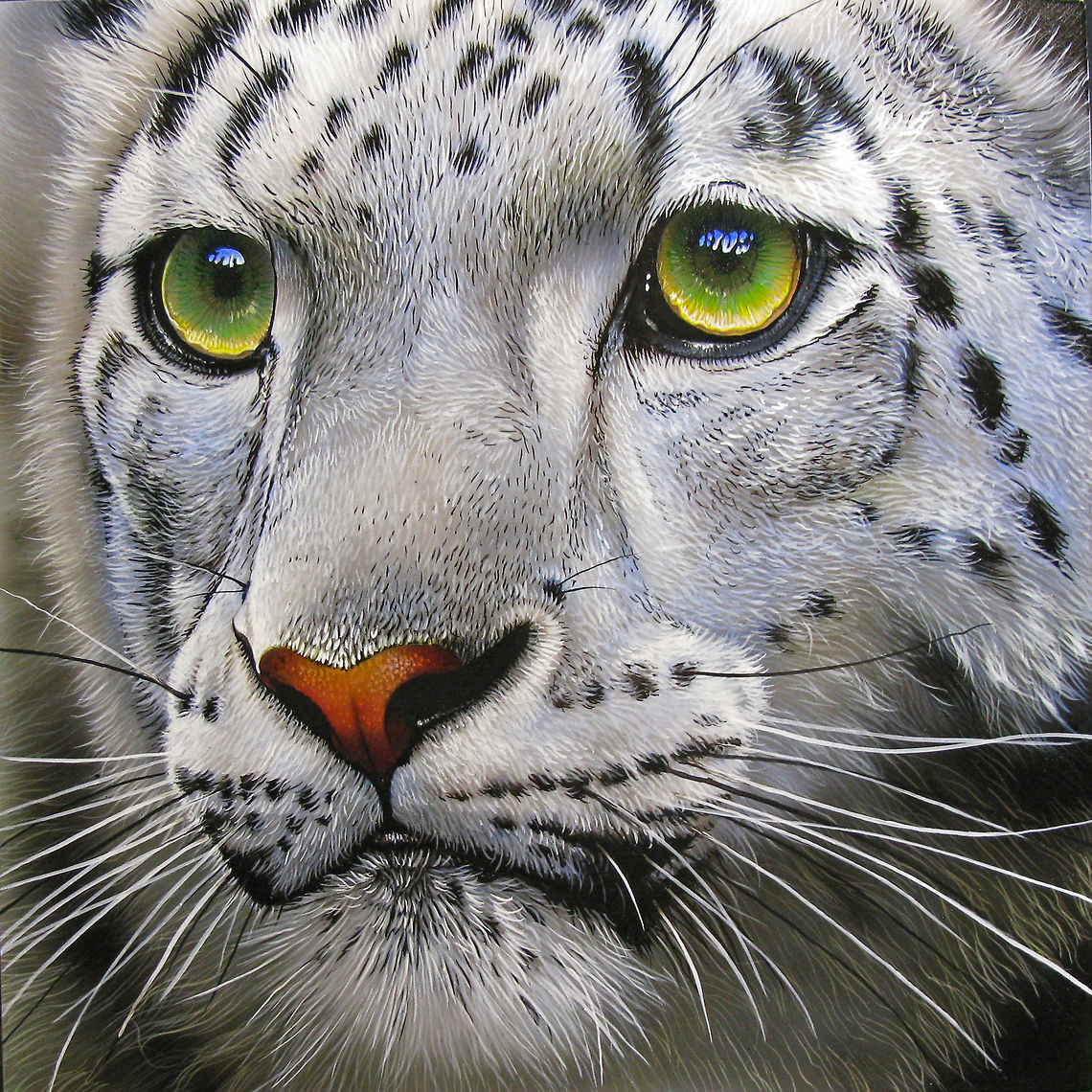Snow Leopard painting 12x12, Inks on wood board, 2011 Asian animals,Big Cats,Snow leopard,Uncia uncia,art,leopards,snow leopard,wildlife art