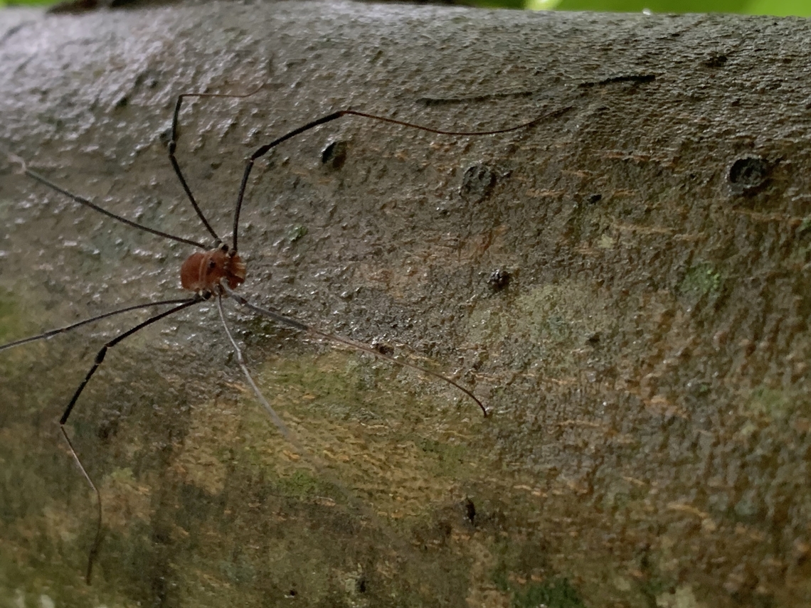 A2179573-4B33-41D3-9BEE-02367C2C7F89