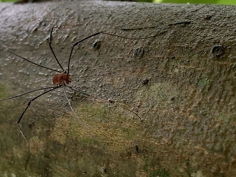 A2179573-4B33-41D3-9BEE-02367C2C7F89