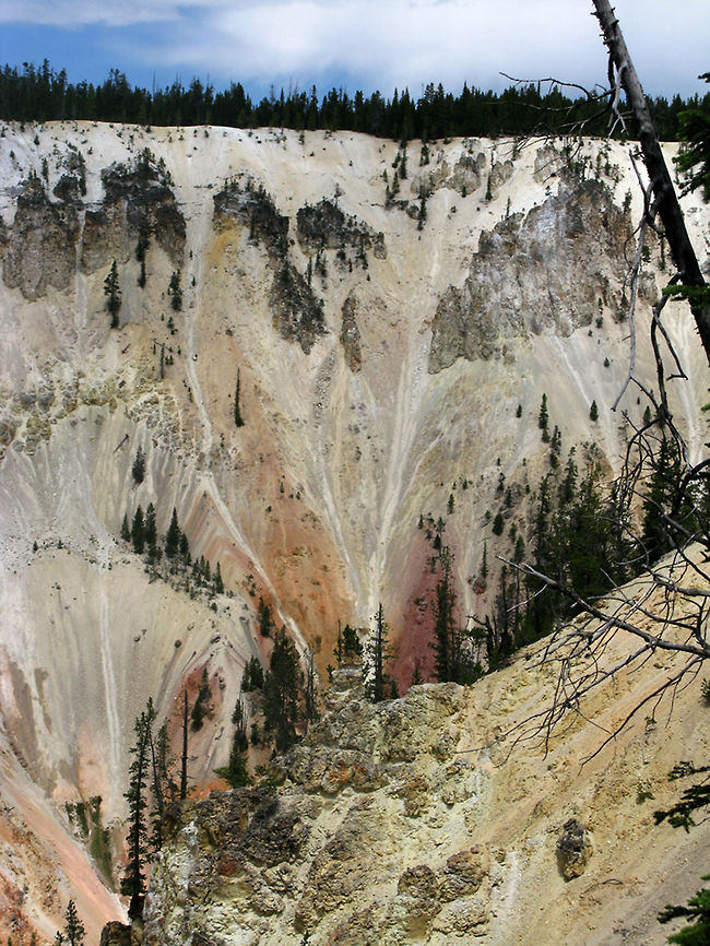 Grand Canyon of Yellowstone Portrait showing the enormous depth of the Grand Canyone of Yellowstone. Landscapes,Wyoming,Yellowstone National Park